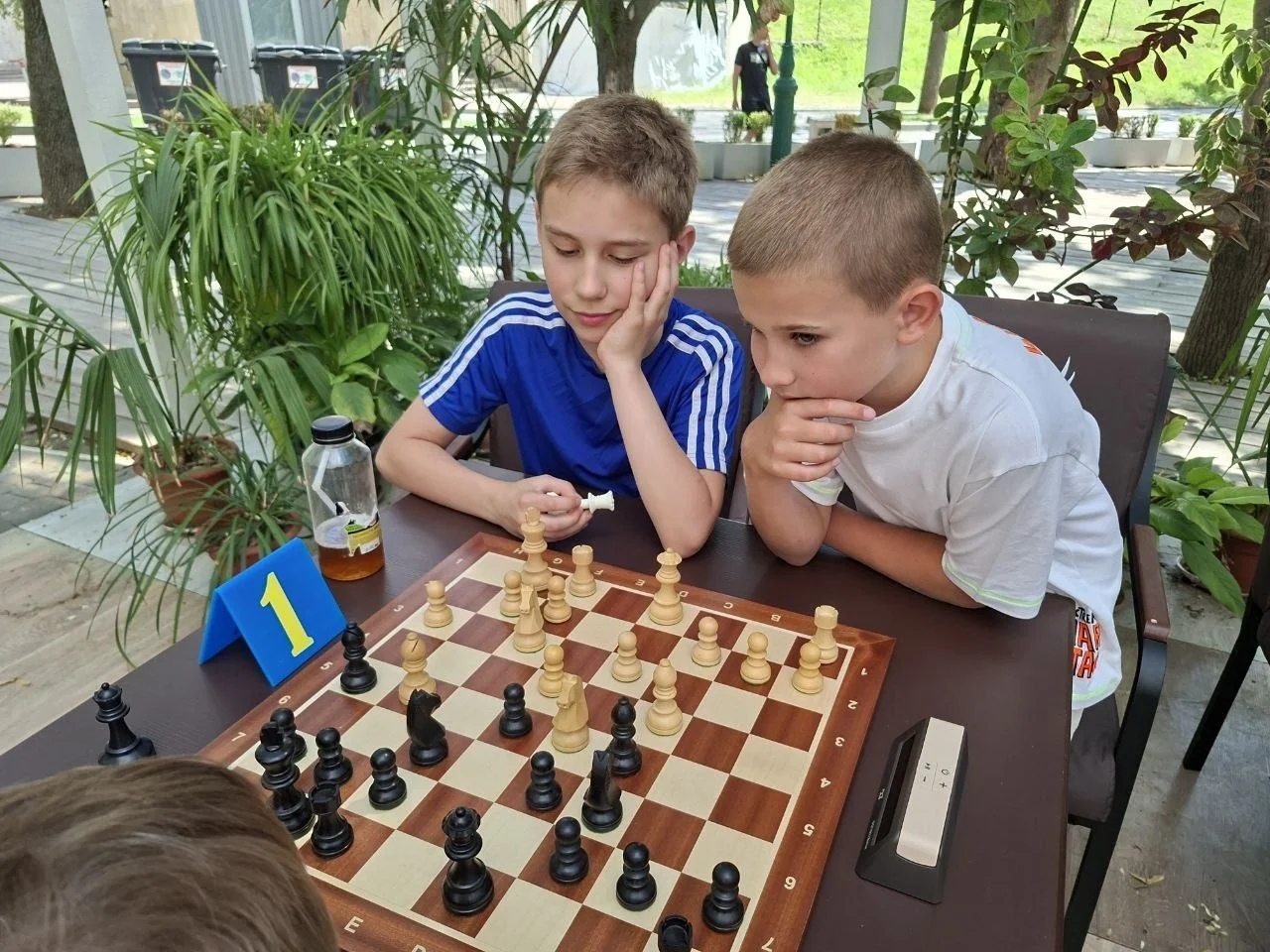Рапід
